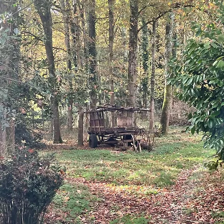 House In Forest Proche Gr And Circuit 펜션 Saint-Mars-la-Briere