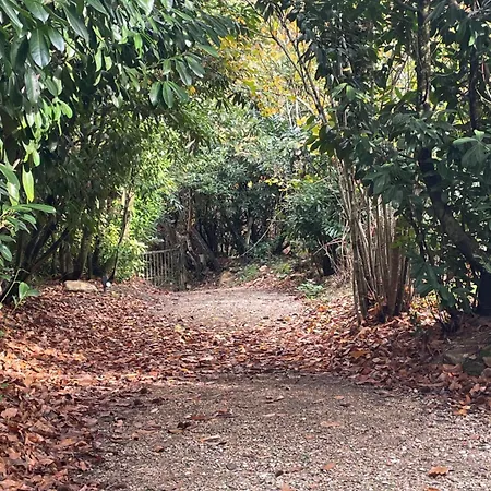 펜션 House In Forest Proche Gr And Circuit *