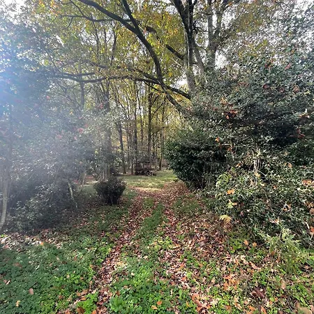 House In Forest Proche Gr And Circuit Saint-Mars-la-Briere