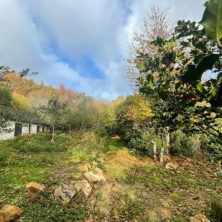 House In Forest Proche Gr And Circuit Saint-Mars-la-Briere