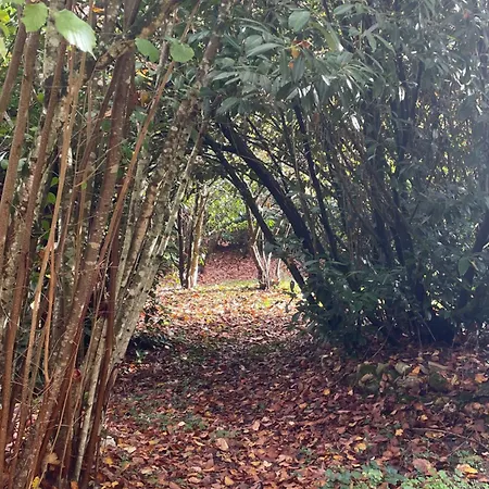 House In Forest Proche Gr And Circuit Сasa de vacaciones