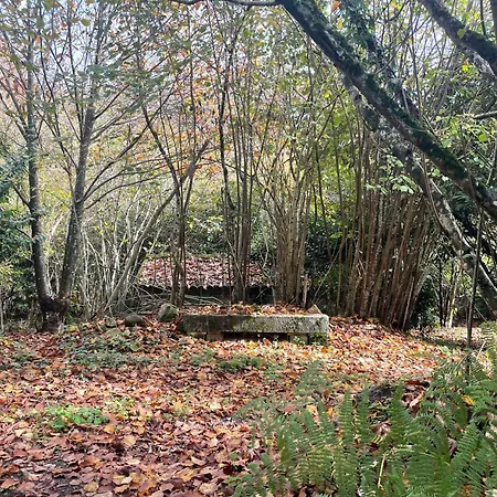 House In Forest Proche Gr And Circuit *