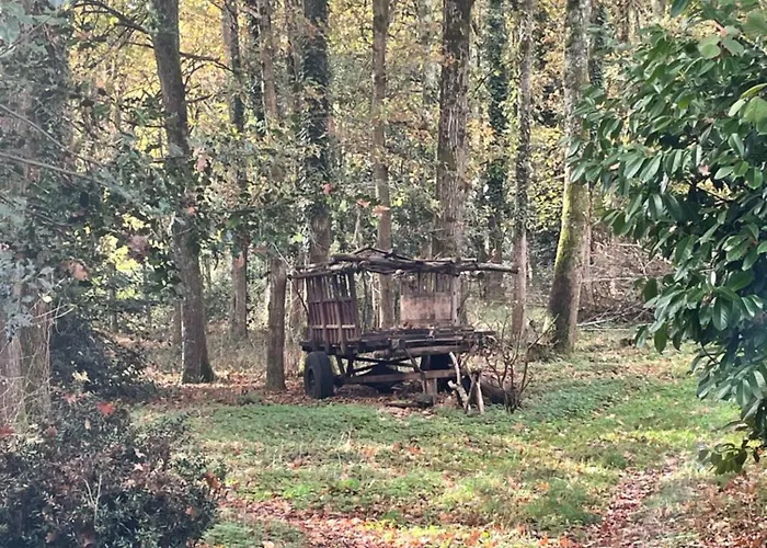 House In Forest Proche Gr And Circuit Hébergement de vacances Saint-Mars-la-Briere