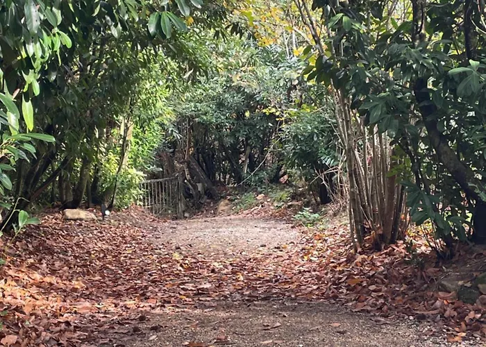 Hébergement de vacances House In Forest Proche Gr And Circuit *