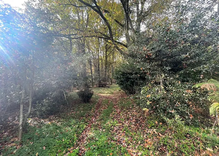 House In Forest Proche Gr And Circuit Saint-Mars-la-Briere