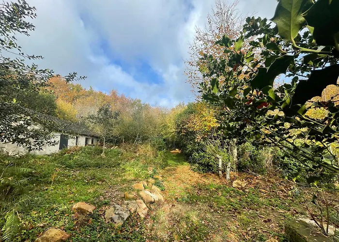 House In Forest Proche Gr And Circuit Saint-Mars-la-Briere
