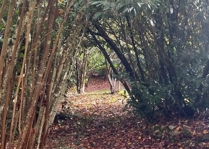House In Forest Proche Gr And Circuit Hébergement de vacances